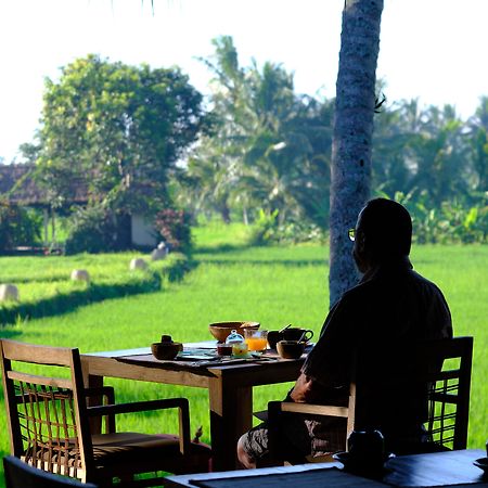 Mathis Retreat Ubud Esterno foto