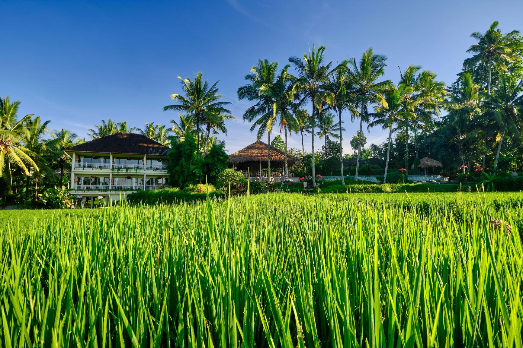 Mathis Retreat Ubud Esterno foto